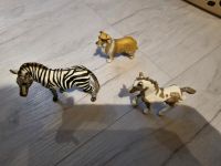 Schleich, Pferd, Zebra, Rheinland-Pfalz - Oberheimbach Vorschau