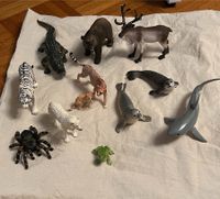 Schleich Tiere, Wildtiere, Meerestiere, Hai, Robben, Bär, Spinne Nordrhein-Westfalen - Saerbeck Vorschau