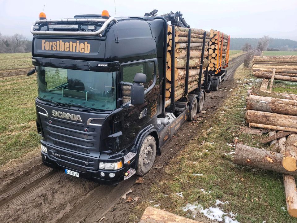 Durchforstung  Stockkauf. Wald forst in Werdau