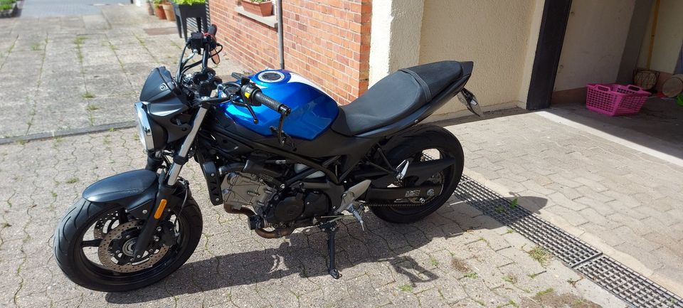 Suzuki SV 650 viel Zubehör in Auetal