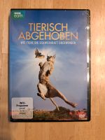 Tierisch abgehoben DVD ***NEU*** Münster (Westfalen) - Geist Vorschau