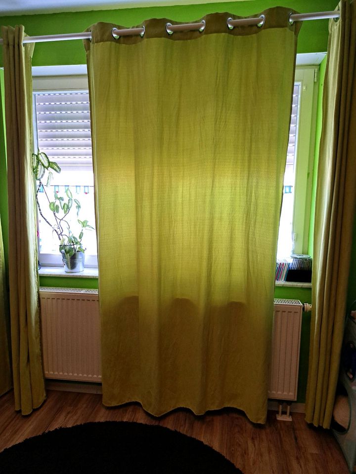 Schlaufenschal Vorhang  4 Stück grün 130x225cm in Bühl