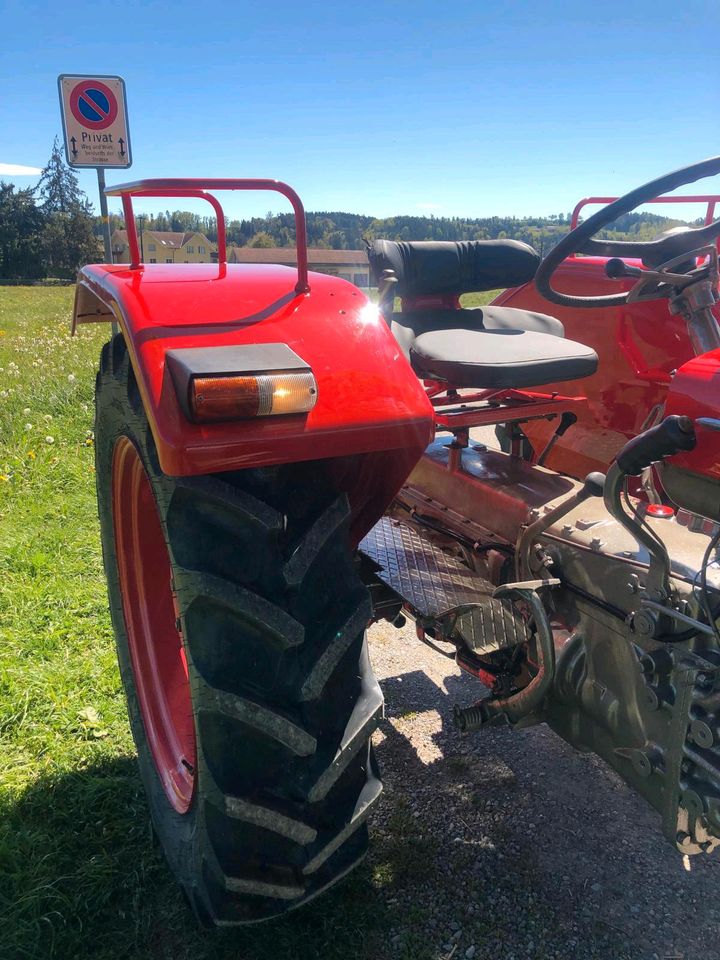 Hürlimann D115 Schnellläufer zu verkaufen in Bubsheim