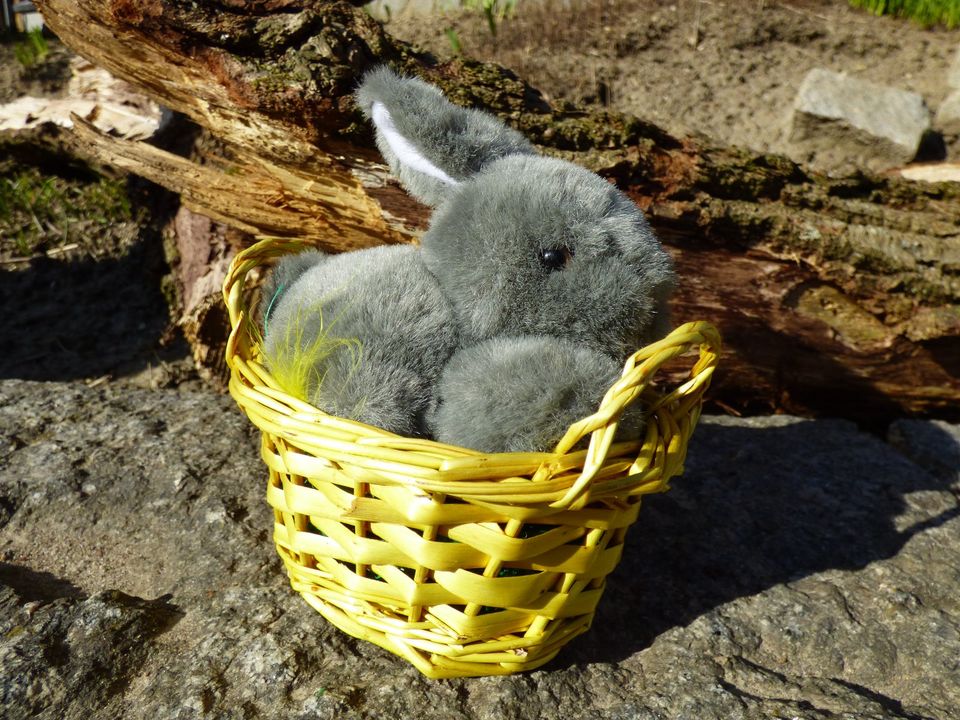 Osterdeko Plüschhase Stoffhase im Weidenkorb in Pfaffenhofen a.d. Ilm