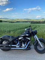 Harley-Davidson Softail Slim manuell verstellbarer Sound Thüringen - Heilbad Heiligenstadt Vorschau