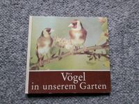 Vögel in unserem Garten Dresden - Prohlis-Nord Vorschau