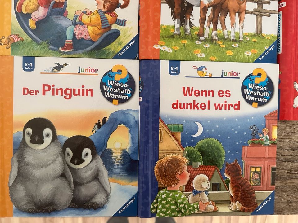 Wieso Weshalb Warum 2-4 Bücher, 4,50€ je Buch in Schornsheim