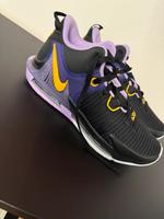 LeBron Nike Schuhe Bayern - Nördlingen Vorschau