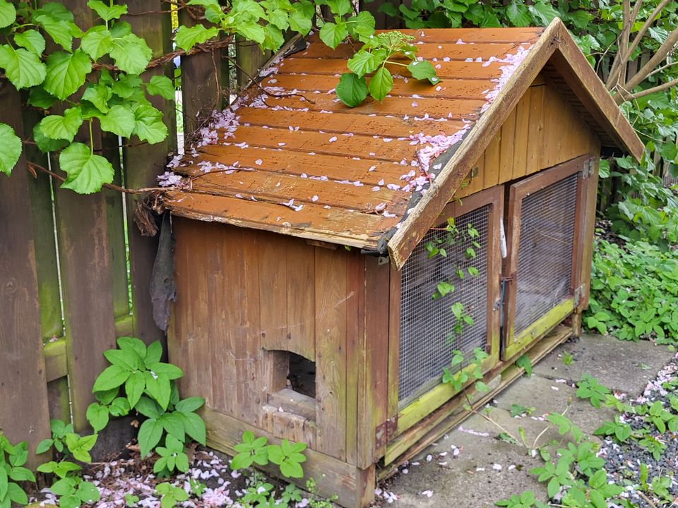 Kannichenstall, Holz, 150x80x116 (BxTxH, Circamaße) in Hamburg