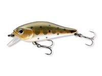 Suche Team Cormoran Shallow Baby Shad Wobbler Sachsen - Lohmen Vorschau