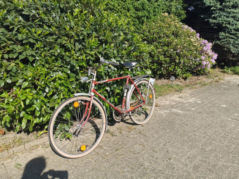 Kultiges Herrenfahrrad in Visselhövede