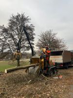 Häckseln Lohnhäckseln Hacken Häckselarbeiten Bayern - Oerlenbach Vorschau