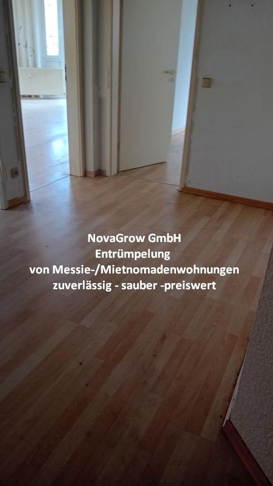 Entrümpelung von Messie-/ Mietnomadenwohnungen in Köln & Bonn in Köln