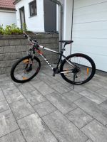 Scott Mountenbike MTB Aspect 930, 29" Bayern - Freudenberg (Oberpfalz) Vorschau