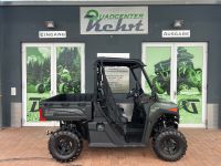 CFMOTO UFORCE 600 DLX EPS LOF UTV CF MOTO Rheinland-Pfalz - Altenglan Vorschau