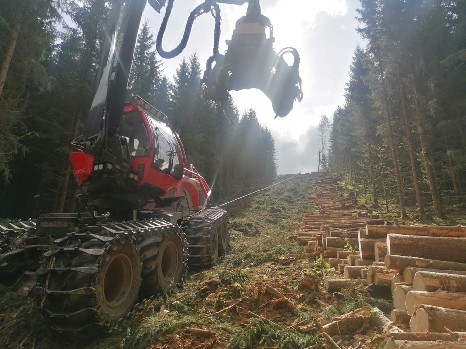 Forstdienstleistung, Holzrückung, Stockkauf , in Kranichfeld