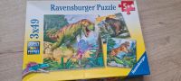 Puzzle abzugeben Nordrhein-Westfalen - Kamen Vorschau