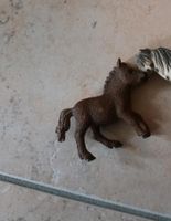 Schleich fohlen pony Braun Shetty verschenken Bayern - Oberding Vorschau