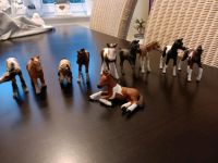 Schleich Fohlen Ponys Brandenburg - Templin Vorschau