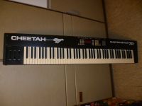 midi master keyboard 88 cheetah für bastler 80iger jahre Bayern - Würzburg Vorschau