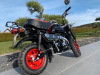 Suche Honda Monkey Sachsen - Falkenstein/Vogtland Vorschau