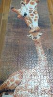 Giraffen Puzzel 1000 Teile von Ravensburger Nordrhein-Westfalen - Hamm Vorschau