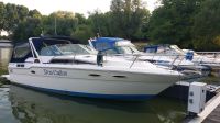 Sea Ray SeaRay Sundancer 300 DA Hessen - Oestrich-Winkel Vorschau