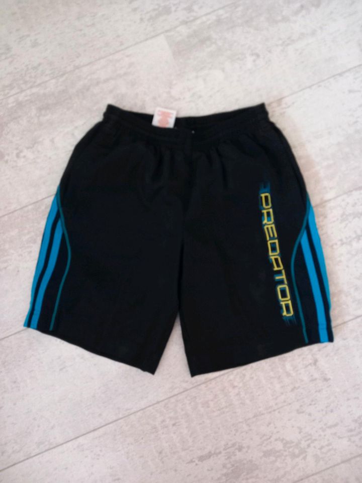 Jungen Shorts/ Badehose Größe 140 in Thale