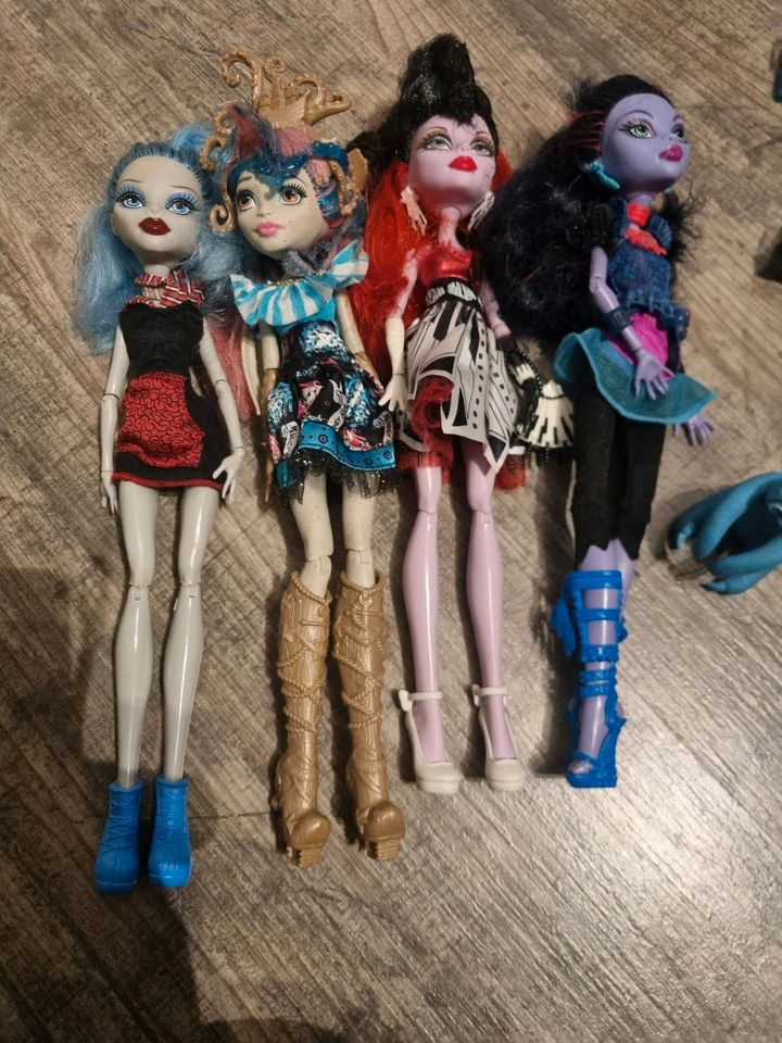 Monster high in Bad Salzdetfurth