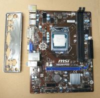 MSI H81M-P33, LGA 1150 Sockel, Intel Motherboard Speyer - Dudenhofen Vorschau