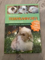 NEU Buch über Teddykaninchen, Teddyzwerge und Teddywidder Hessen - Borken Vorschau