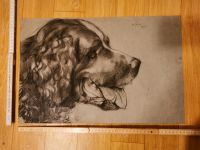 Antik, Kohlezeichnung Hundekopf 1915 von Max Höser Baden-Württemberg - Karlsruhe Vorschau