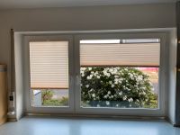 2 Plissees Fenster Sichtschutz - auch einzeln erhältlich Nordrhein-Westfalen - Dormagen Vorschau