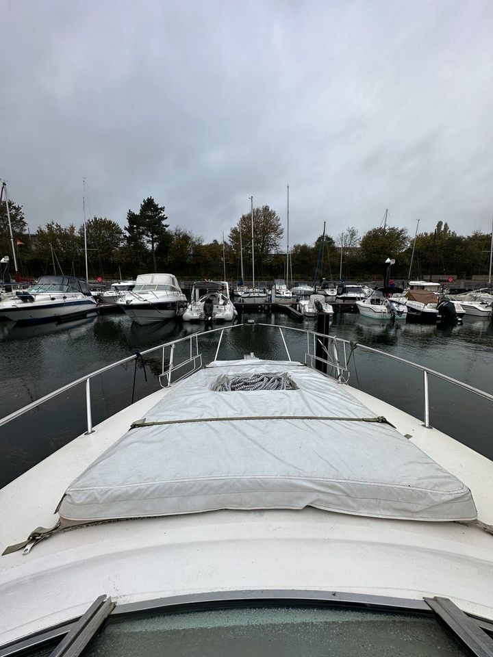 Sea Ray 260 DA in Tangstedt