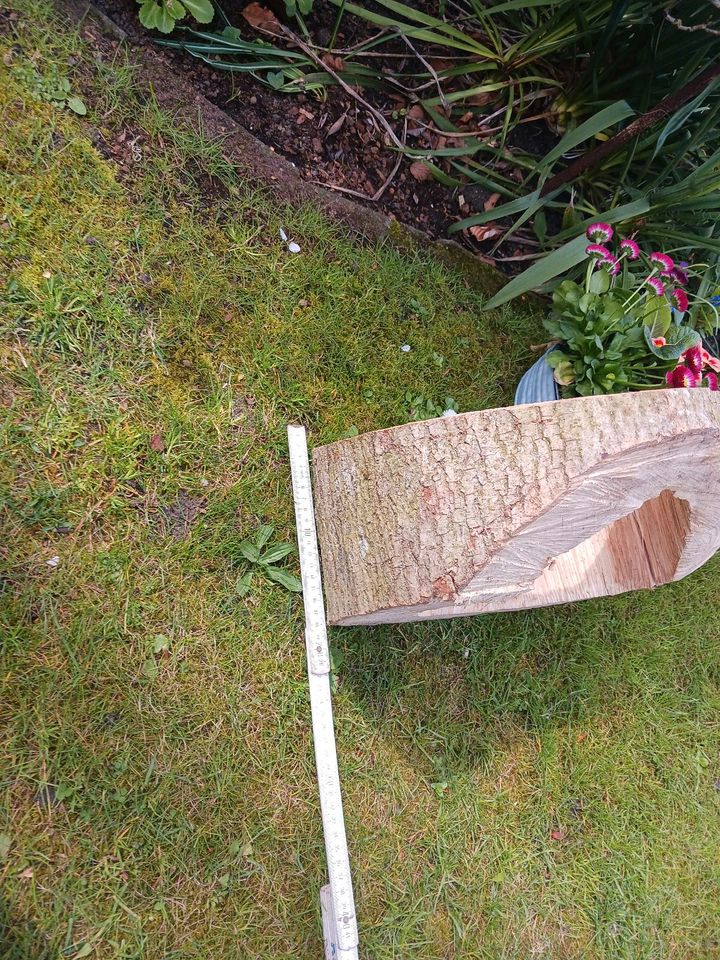 Baumscheibe ausgehöhlt Garten Blumen Deko Balkon Terrasse in Norderstedt