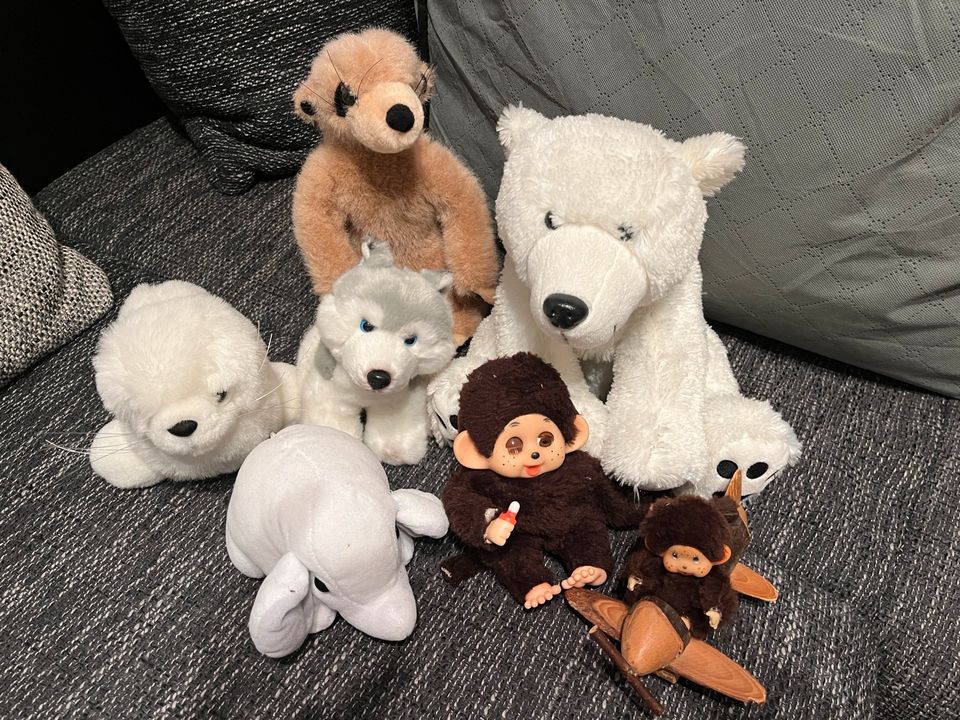 Stofftiere: Husky, Eisbär, Robbe, Elefant, Erdmännchen, in Düsseldorf
