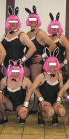 Faschingskostüm Karneval heißes Häschen Bunny Playgirl 42 44 M L Hessen - Roßdorf Vorschau