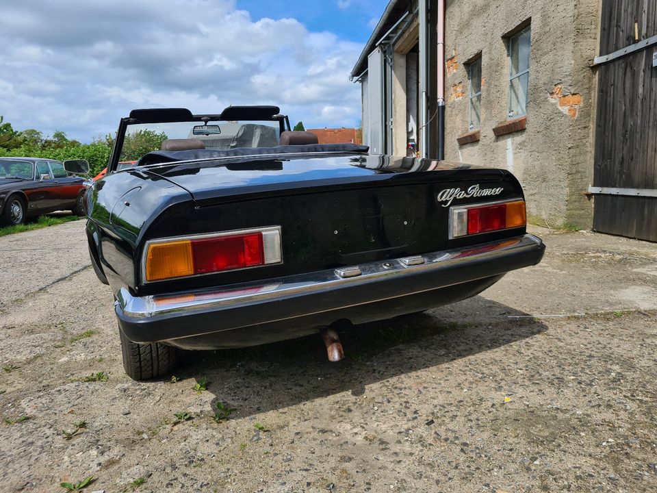 Alfa Romeo 1600  Spider  Fastback  Oldtimer  Cabrio in Grevesmuehlen