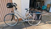 Staiger Damen Fahrrad San Francisco Bayern - Bad Abbach Vorschau