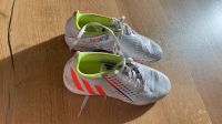 Adidas Predator Hallenschuhe in Größe 40 Baden-Württemberg - Gengenbach Vorschau