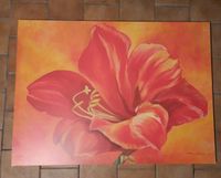 Bild von Andrea Schieler Amaryllis Brandenburg - Wittstock/Dosse Vorschau