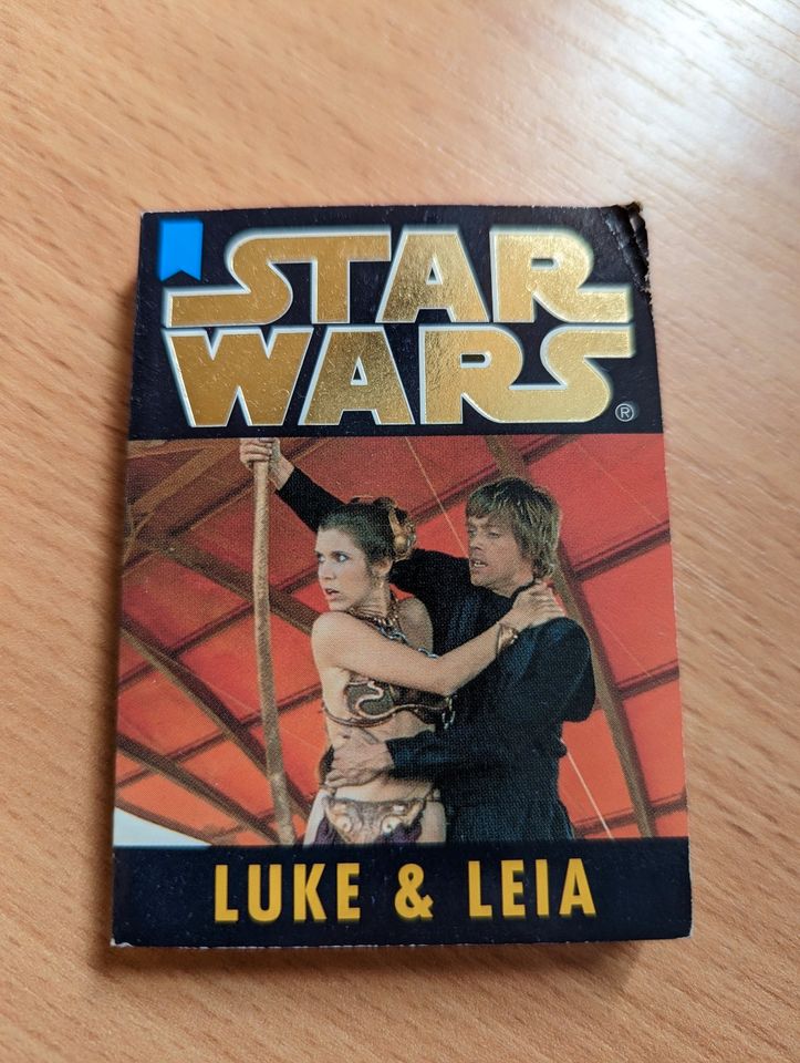 Star Wars Buch: Luke & Leia (Heyne-Mini) (Sammlerstück) in Stuttgart