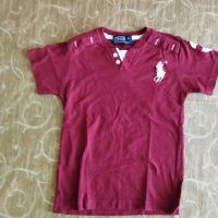 Poloshirt Polo Ralph Lauren Größe M/122 Nordrhein-Westfalen - Hemer Vorschau