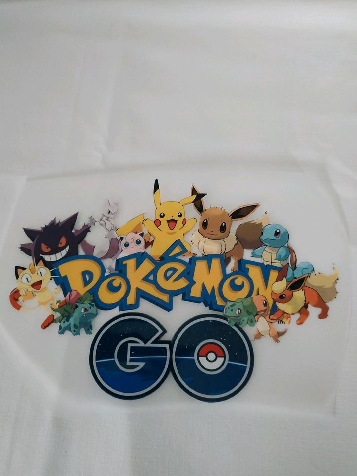 Pokemon Bügel-Applikation groß 28cm hoch, 23cm breit in Niederschönenfeld