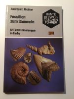 Fossil ien  zum Sammeln 120 Abbildungen Richter Bayern - Schwabach Vorschau
