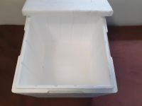 Thermobox Styropor 40x40x36,5 cm Sachsen - Wurzen Vorschau