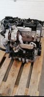 MOTOR VW AUDI CFF CFFA 2.0 TDI KOMPLETT Nordrhein-Westfalen - Ratingen Vorschau