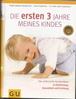 Die ersten 3 Jahre meines  Kindes Bayern - Großenseebach Vorschau