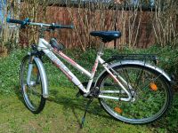 Fahrrad 26 Zoll Pegasus Avanti, Top Zubehör Schleswig-Holstein - Großsolt Vorschau