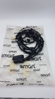 ORIGINAL SMART FOR TWO *ESP-LEITUNG-SATZ*Q0012231V001*MERCEDES Wandsbek - Hamburg Sasel Vorschau